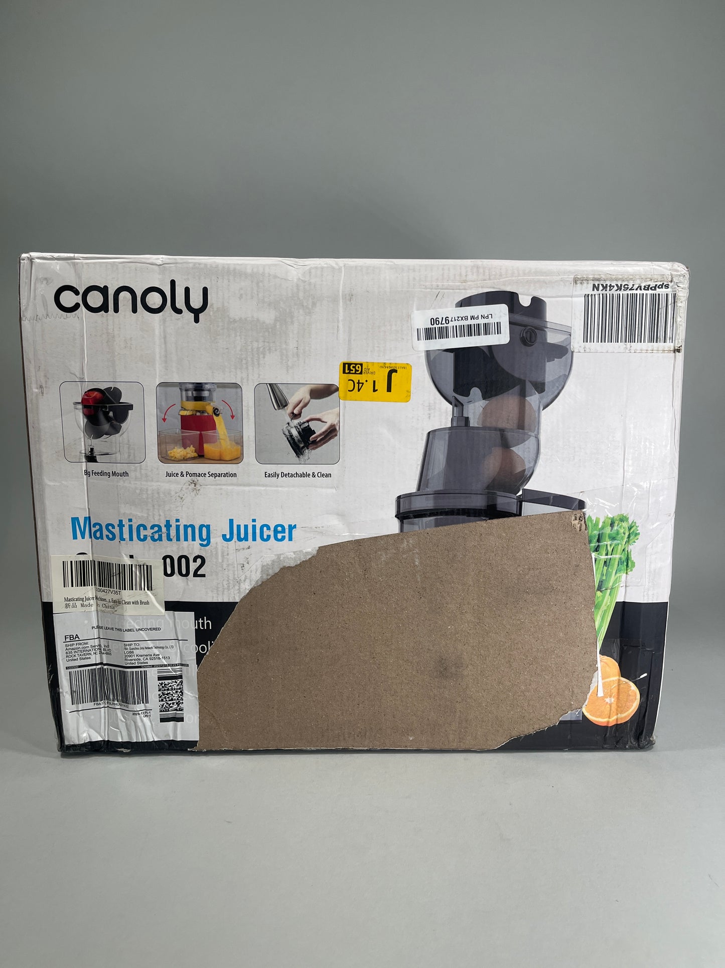 New Canoly Masticating Juicer Canoly-002